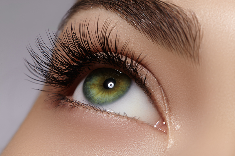 Lasting Lash Studio photo 3